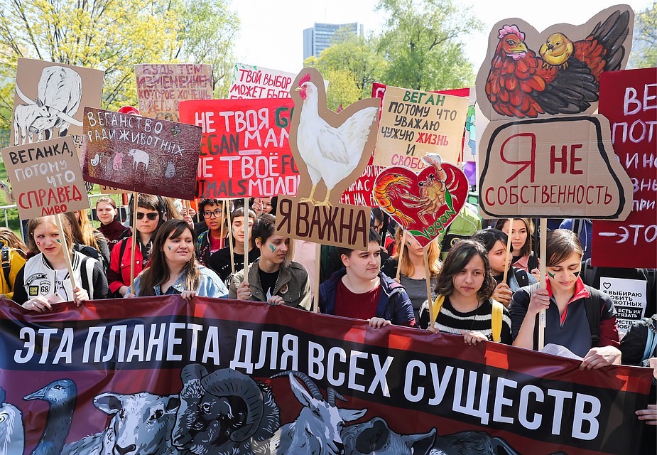Сплоченная группа зоозащитников Фото: Антон НОВОДЕРЕЖКИН/ТАСС