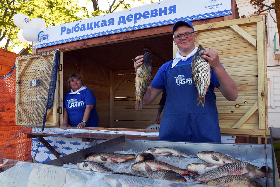 В «рыбацкой деревне» продают форель, сомам, осетра, причем как охлажденными, так и живыми. Фото: Пресс-служба Администрации Ленинградской области