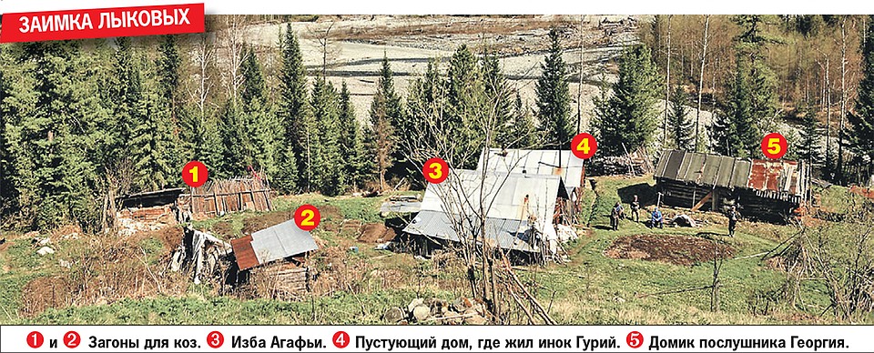 Фото: Данил БАРАШКОВ
