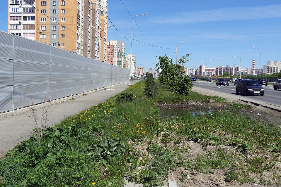 Уровень шума превышен в 1,5 раза. Фото: Гражданский патруль