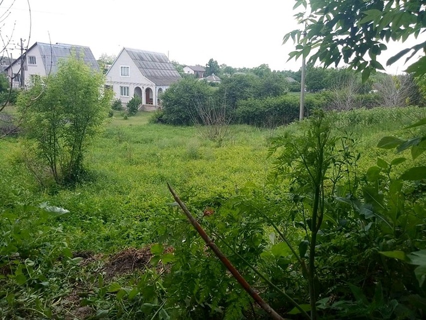 Полицейские стреляли по бутылкам на этом пригорке. Фото kp.ua
