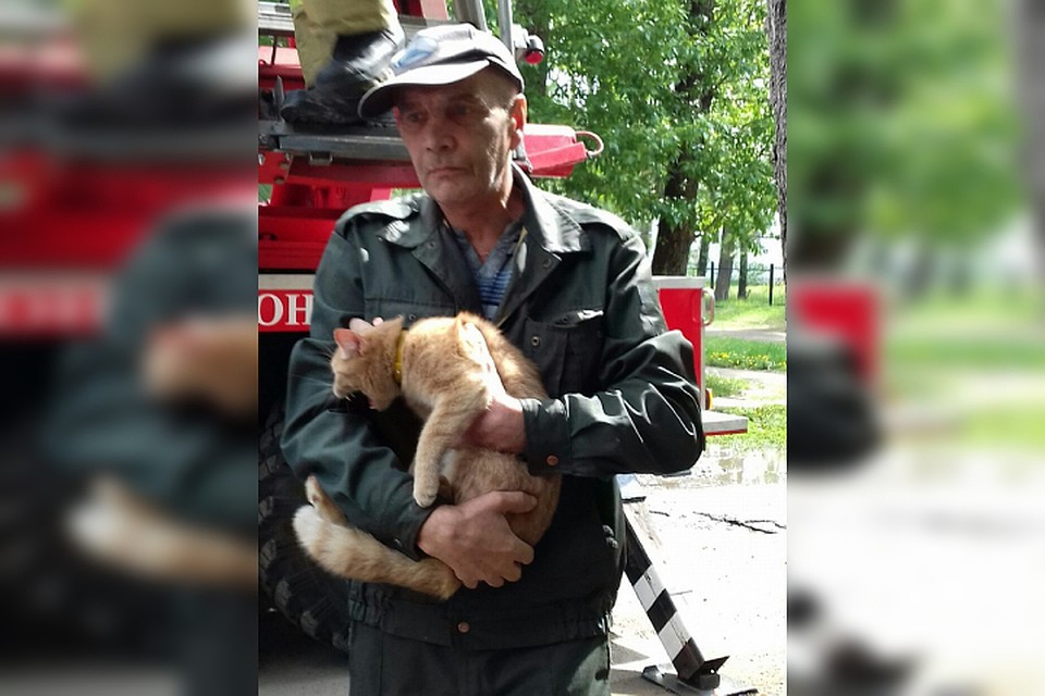 Четырехлапый рыжик вернулся в руки к хозяину.
