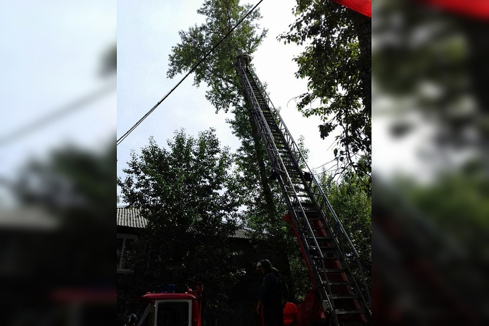 Чтобы снять бедолагу с высоты четвертого этажа, спасатели пригнали автокран.