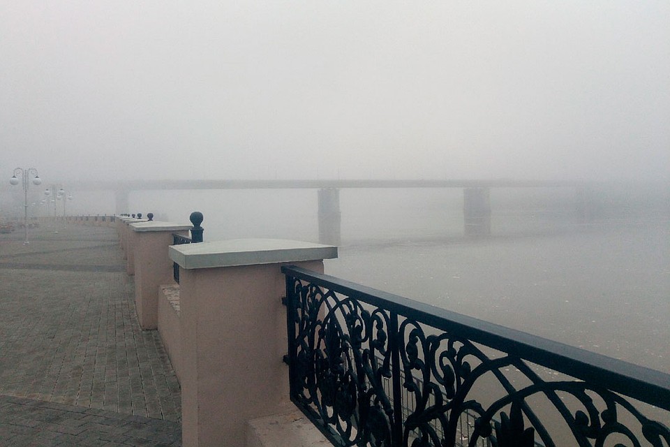 Фото: Алексей Волошин