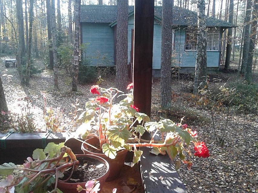 Здесь всё так же, как было при Анне Ахматовой Фото: Евгения КОРОБКОВА