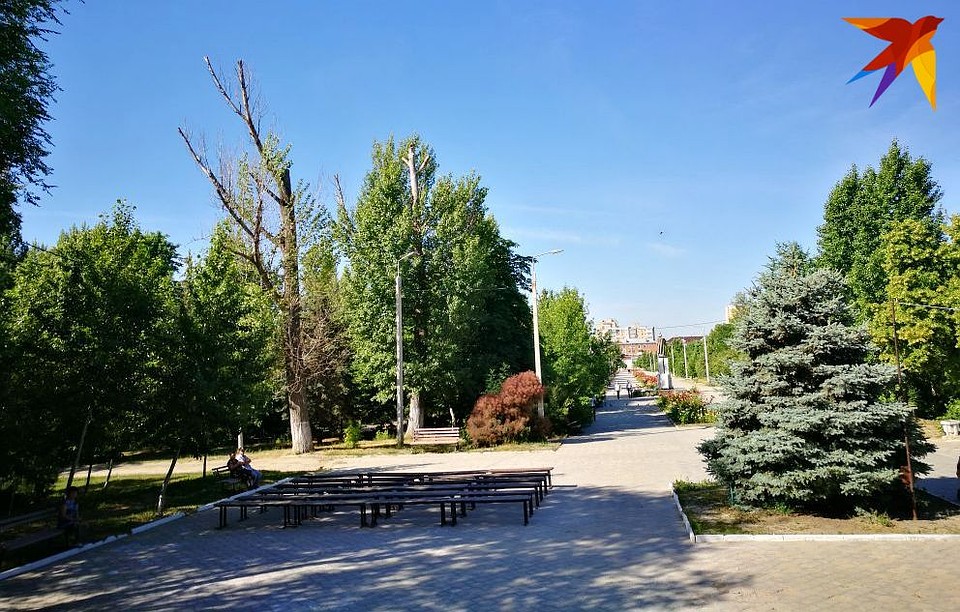 Планировка парка почти не изменится. Вырубать обещают только поросль и сухостой. Фото: Инна ШЕРЕМЕТЬЕВА
