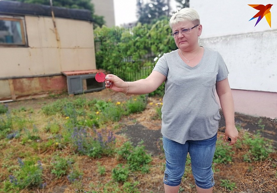 У Барона была своя бирка на ошейнике с именем и названием университета Фото: Ольга СУПОНЕВА