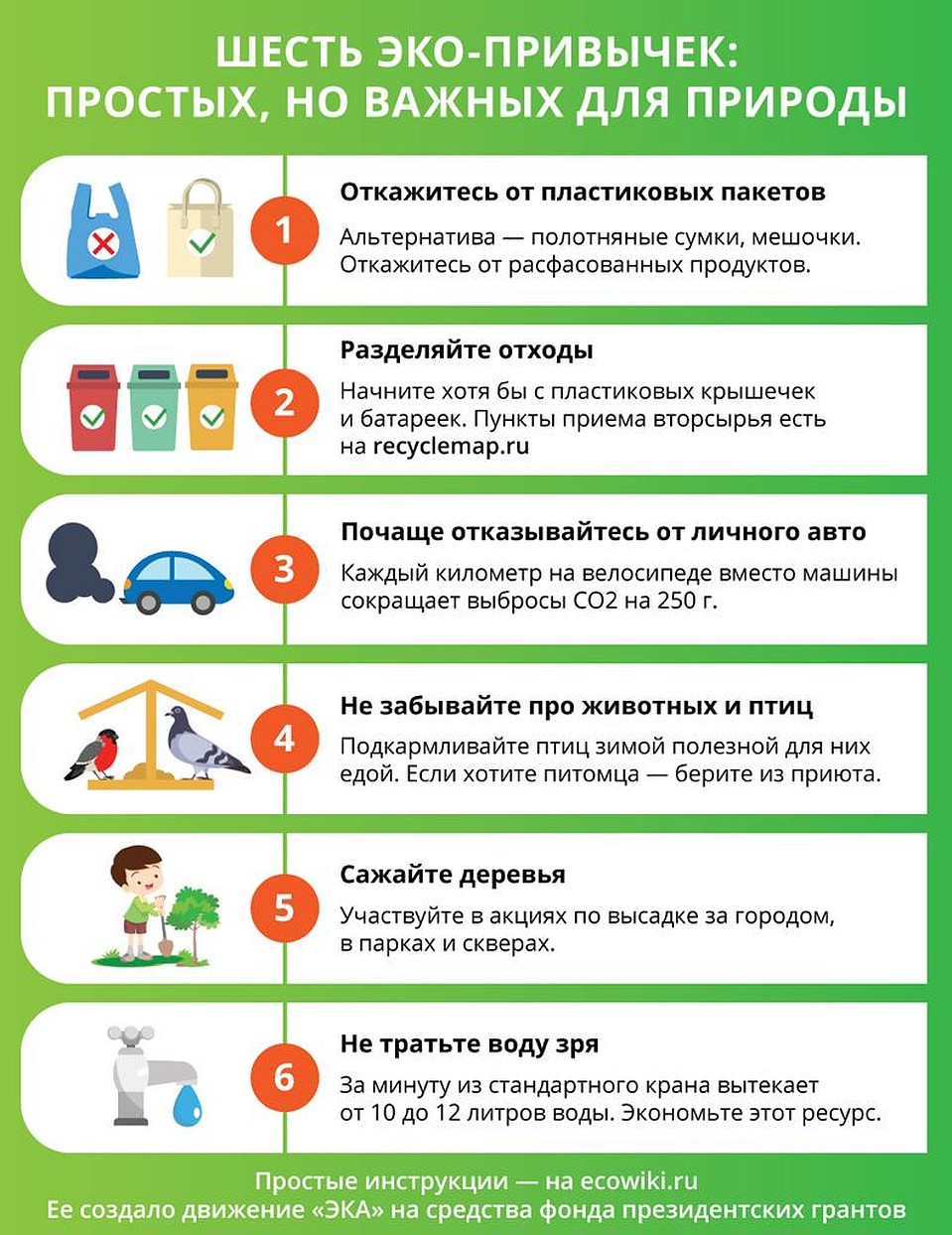 Шесть полезных эко-привычек Фото: Рушан КАЮМОВ