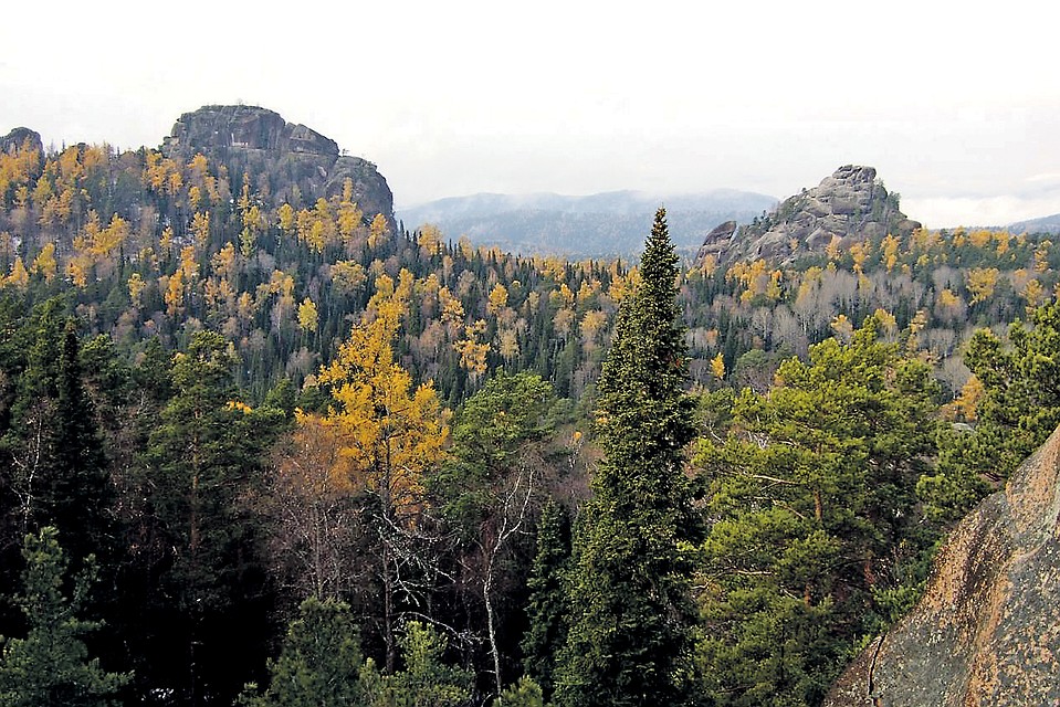 Фото: wikimedia.org