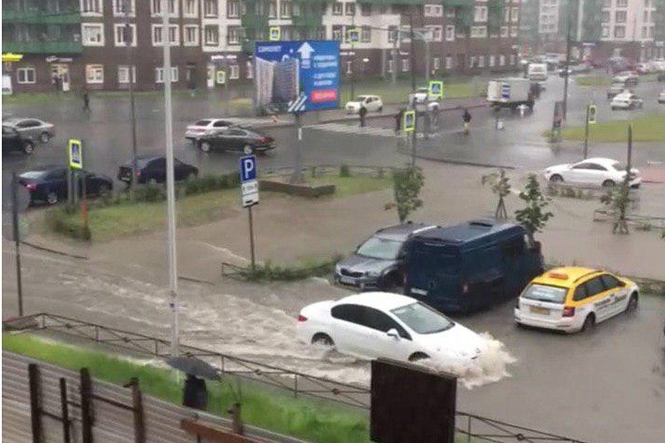 Залило Мурино. Фото: https://t.me/Megapolisonline