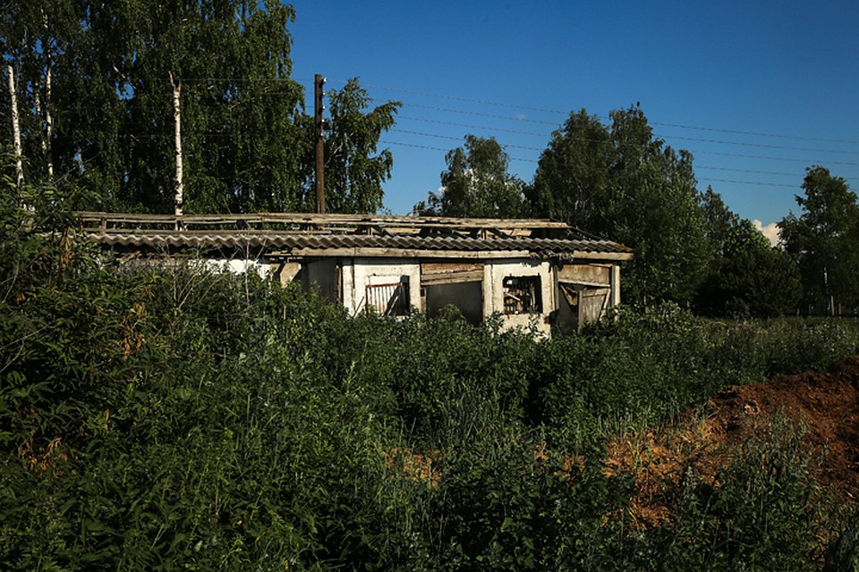 Заброшенные здания на ипподроме Фото: Анастасия МАКАРЫЧЕВА