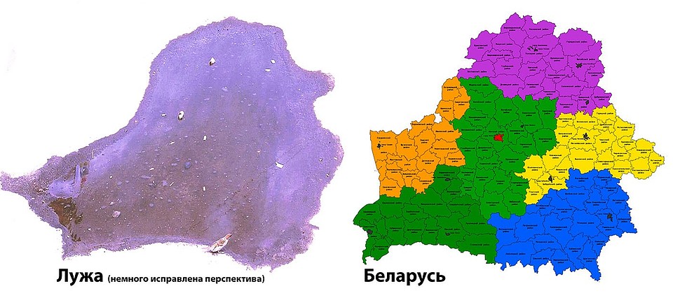 Лужа и карта Беларуси