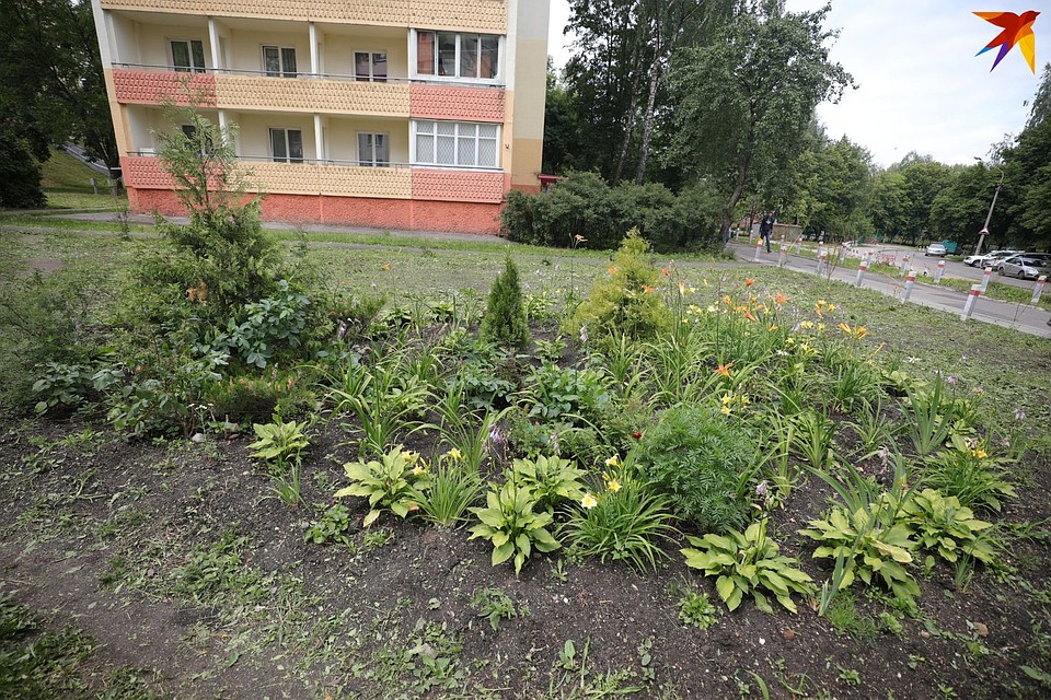 Изначально на него планировалось потратить 11 тыс. рублей, но потом цена снизилась почти в 4 раза Фото: Святослав ЗОРКИЙ
