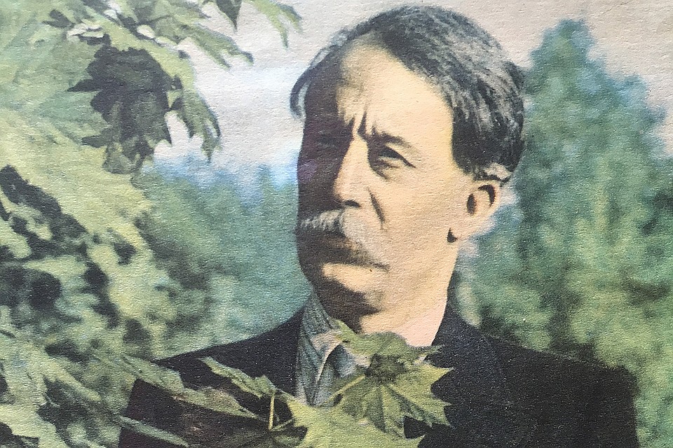 Владимир Тимофеев.