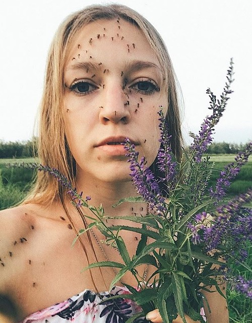 При одном взгляде на это фото все чешется. Фото: Социальные сети