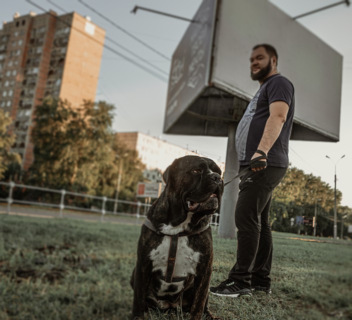 Фото: Алексей Потапов
