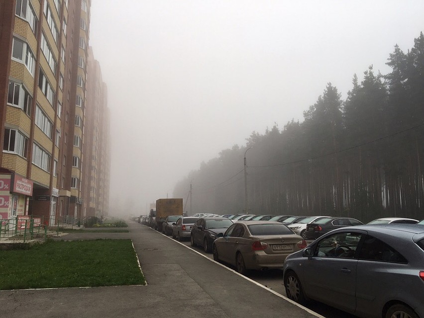 А вот такая картина сейчас в пригороде Екатеринбурга, в Березовском