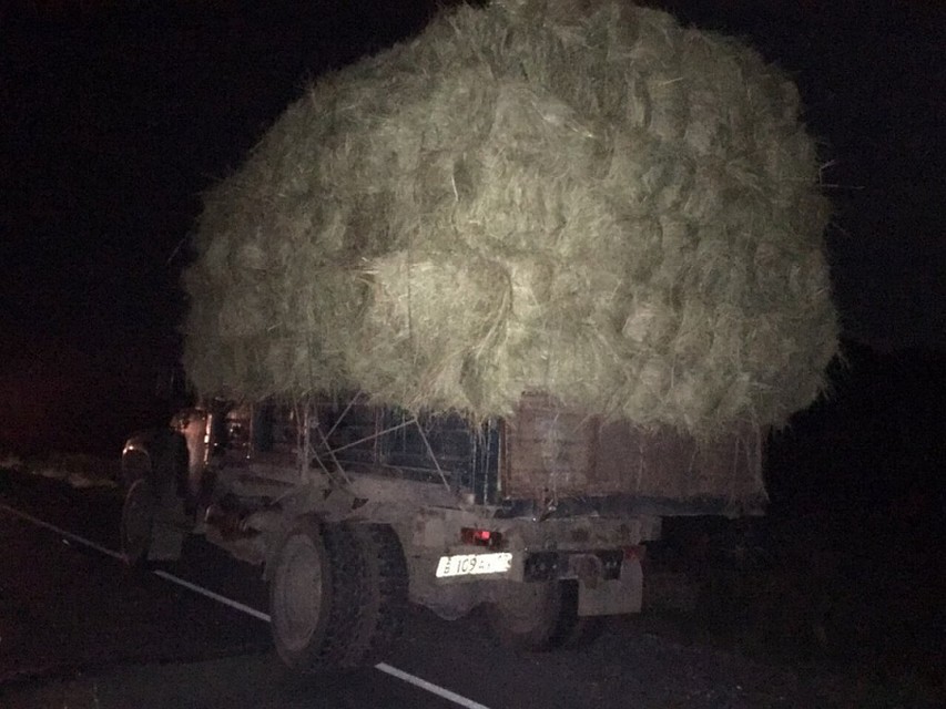 ВАЗ врезался в перегруженный сеном грузовик. Фото: МВД России по Туве