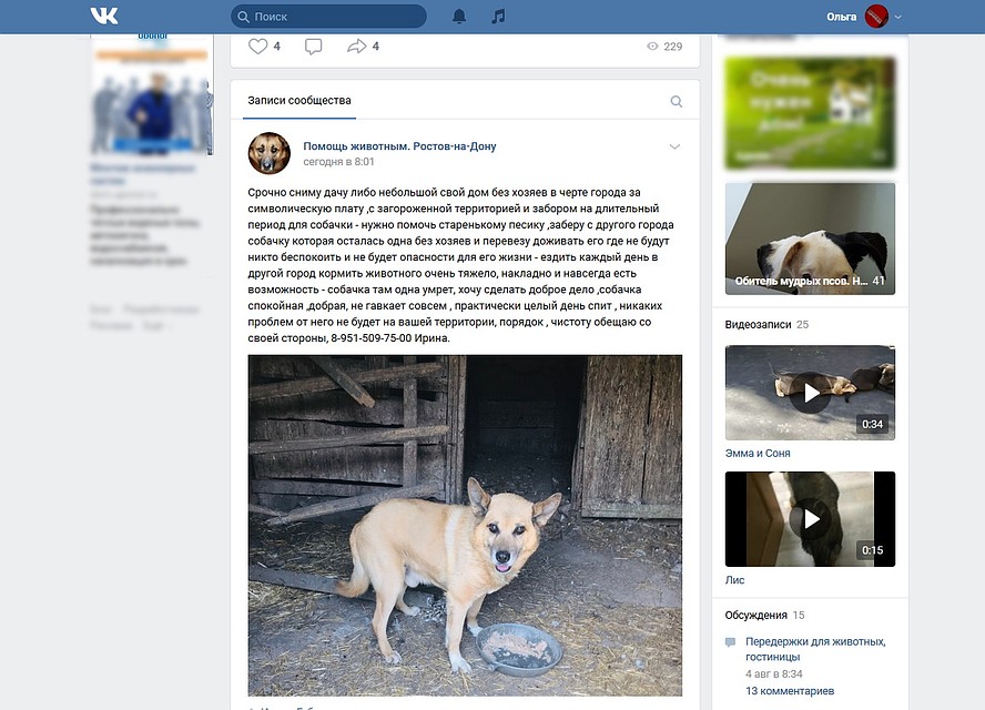 Сердобольная ростовчанка готова помогать псу. Фото: страница Вконтакте "Помощь животным Ростов-на-Дону".
