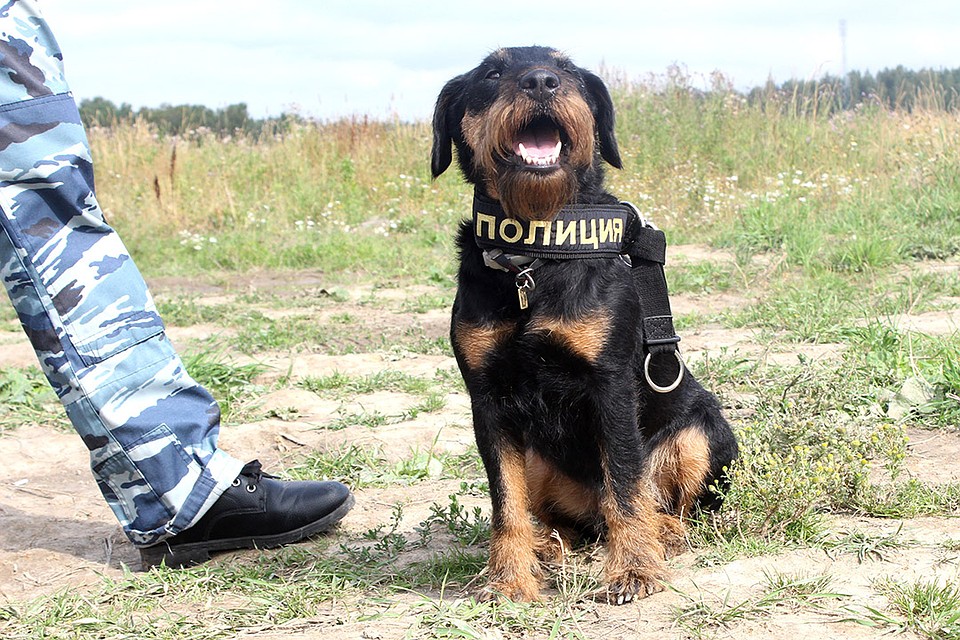 Рыска на страже закона Фото: Роман ЛЯЛИН