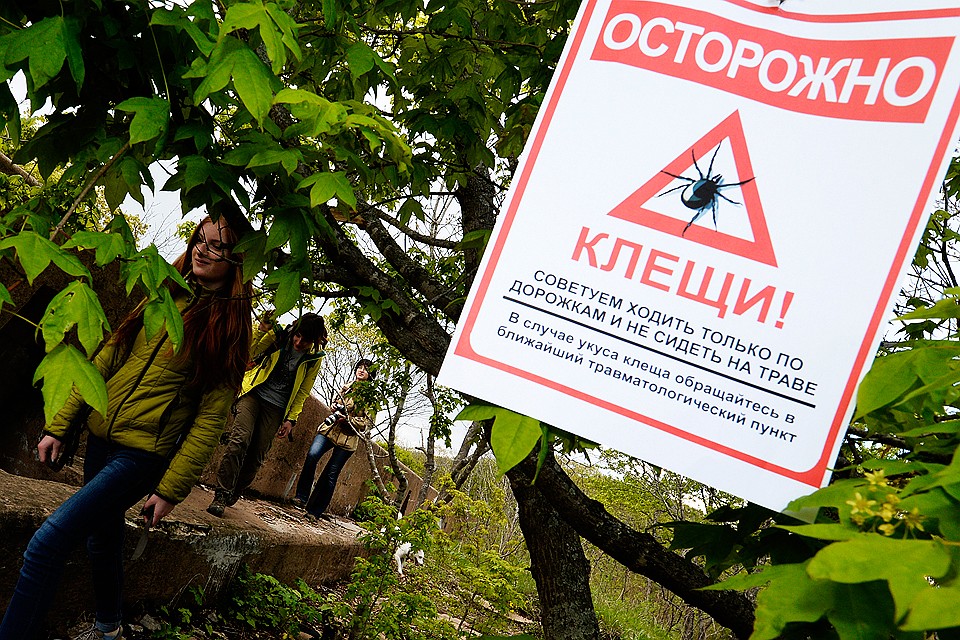 Объявление, предупреждающее о клещах, в городском парке. Фото Юрий Смитюк/ТАСС