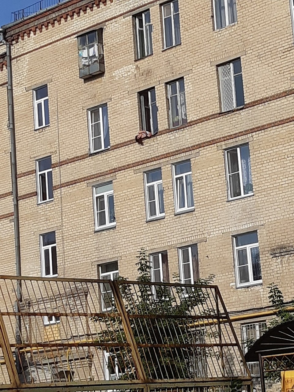 А до земли дааалеко! Фото: социальные сети.