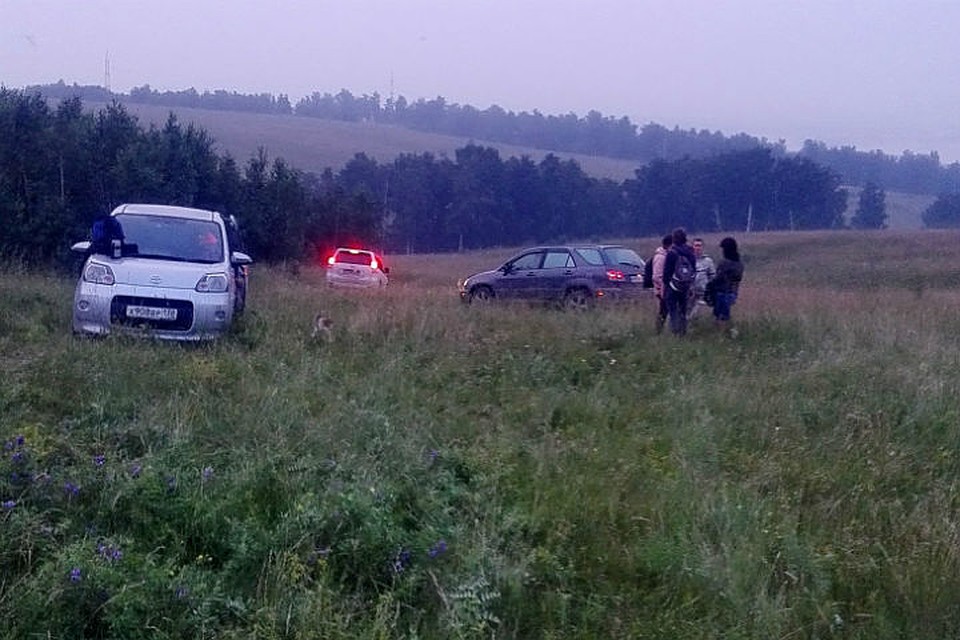 Искали пожилого мужчину под Иркутском, в лесу и поле. Фото: страница поискового отряда "Лиза Алерт" - Байкал в соцсетях.