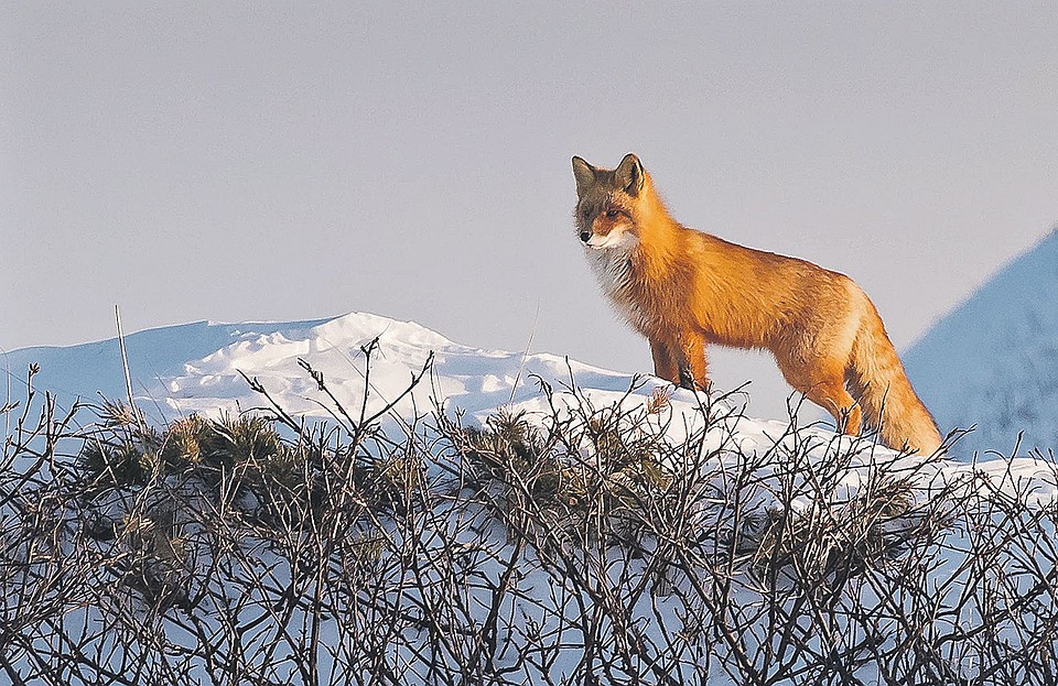 Фото: photojourneys.ru