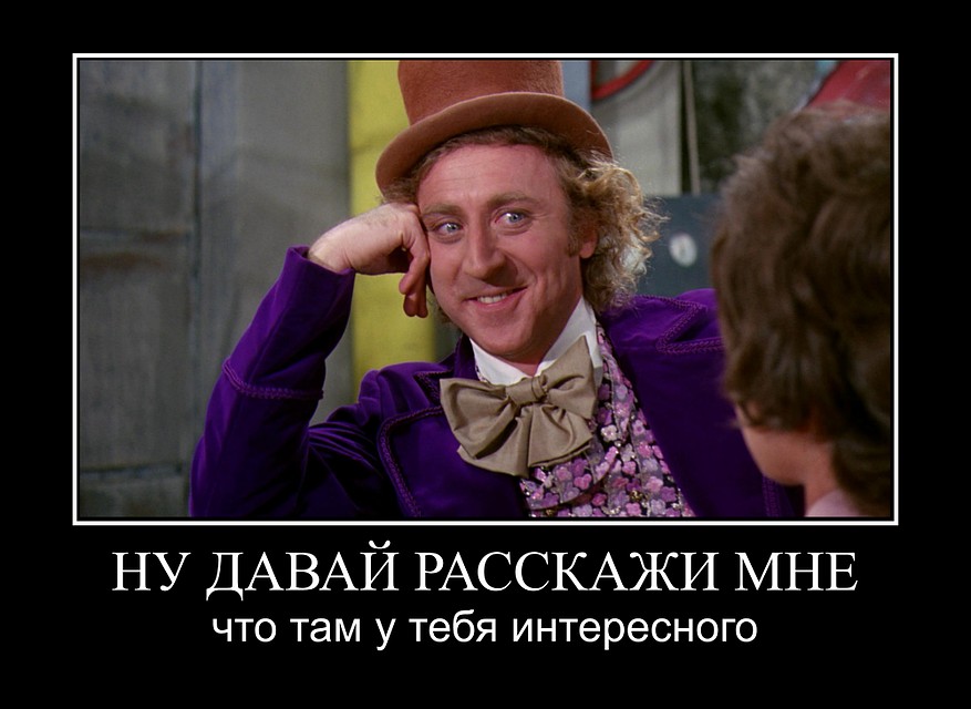 . Фото: СОЦСЕТИ
