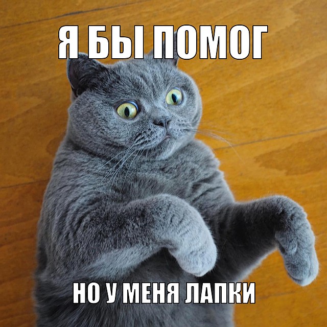 . Фото: СОЦСЕТИ