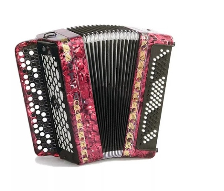 Такая гармонь стоит 48,5 тысяч рублей\ФОТО: https://jazz-shop.ru