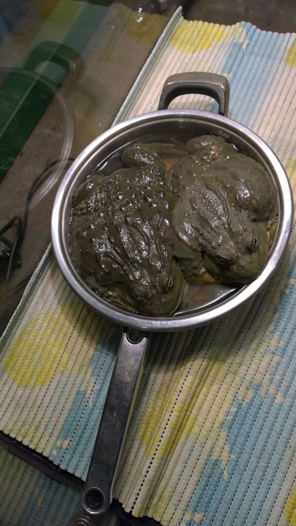Та самая сковородка для лягушек.