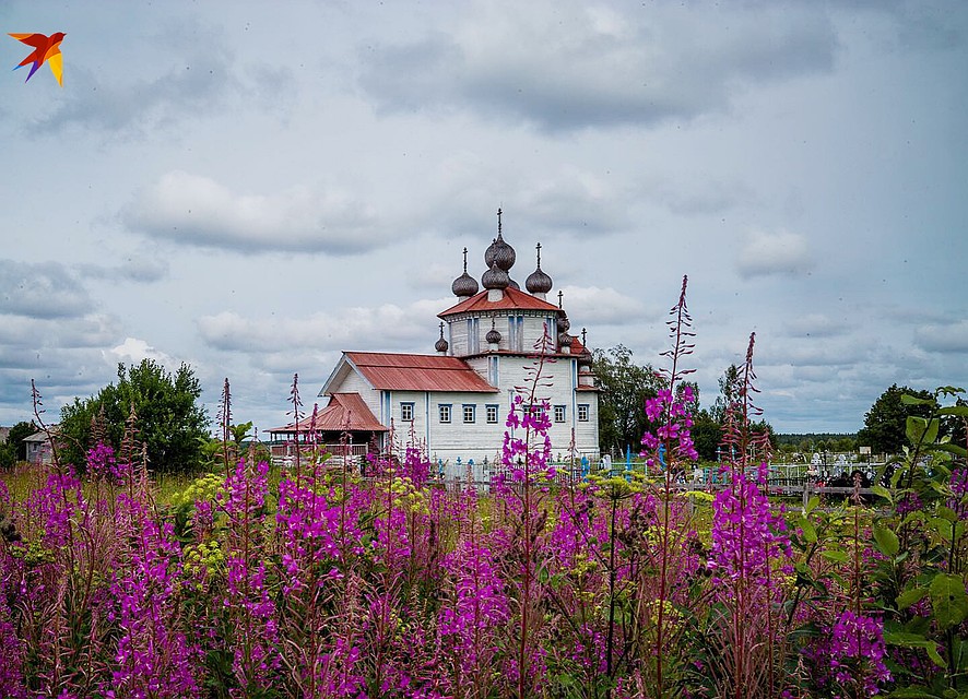Снимок сделан с помощью камеры «Зенит-М» Фото: Виктор ГУСЕЙНОВ