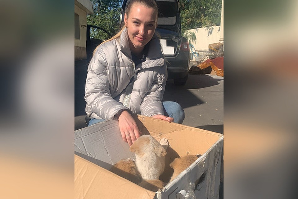 Соседи взбунтовались и щенков пришлось вернуть в приют. Фото: приют "ПИФ"