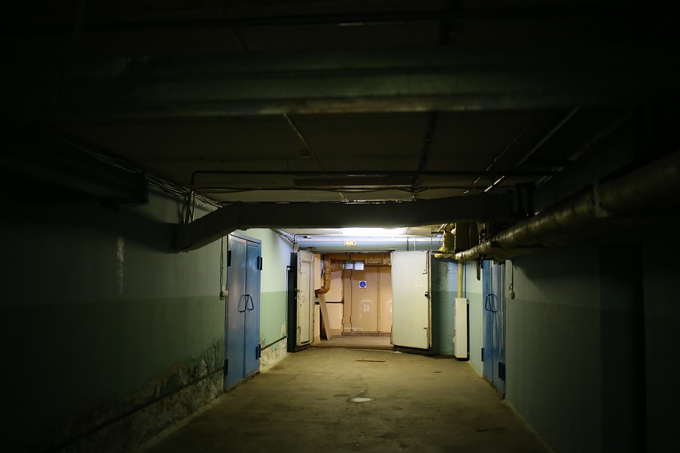 Фото: Амир Закиров