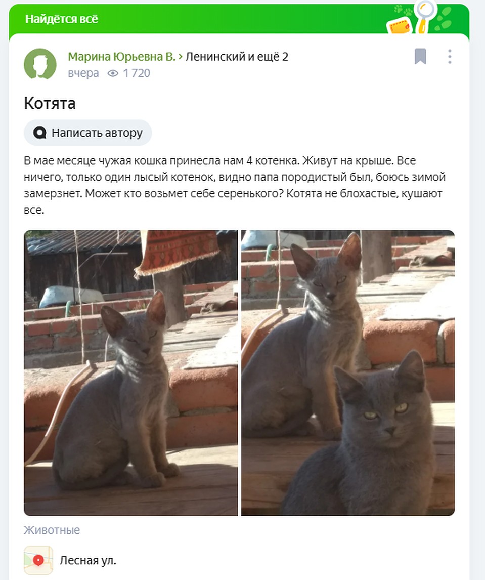 Призыв челябинка разместила в соцсети. Фото: СОЦСЕТИ