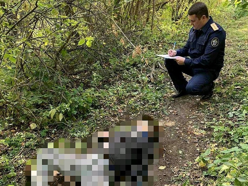 Тело Романа Малышева нашли в 400 метрах от места, где его избивали