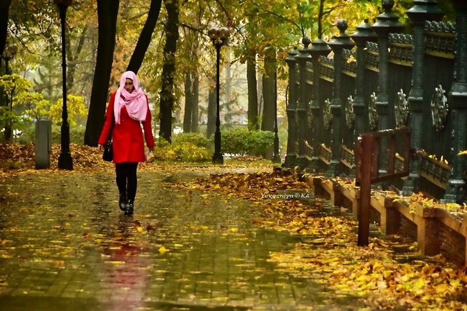 А вот на тротуарах листва может быть скользкой. Фото: Евгении Карпачевой