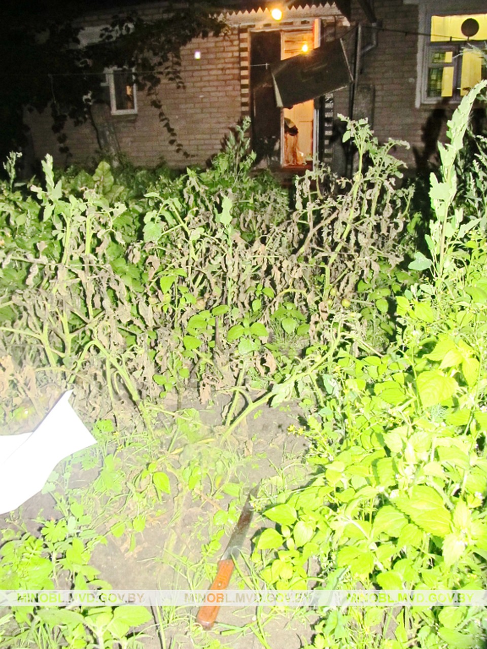 Фото: УВД Миноблисполкома