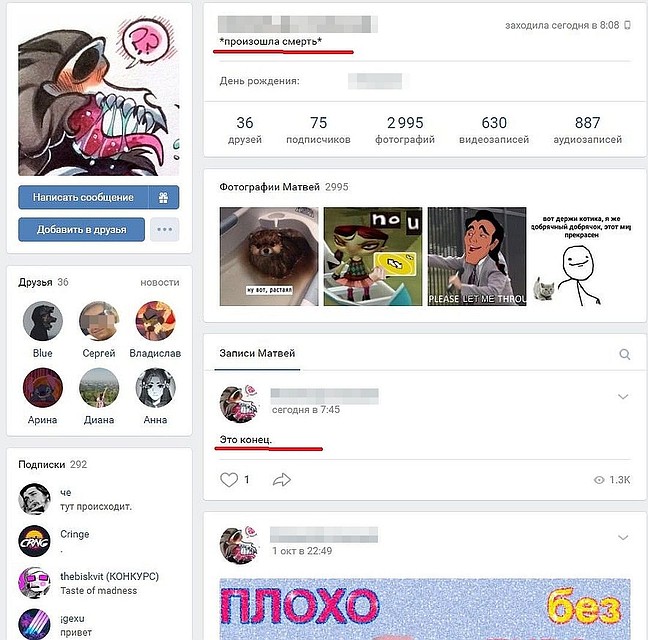 Девочка оставила прощальное послание в соцсетях. Фото: соцсети.