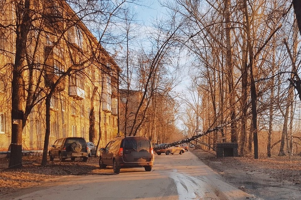 Нижегородцы обсуждают в сети последствия шквалистого ветра. Фото: СОЦСЕТИ