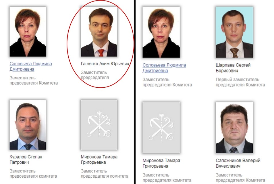 Гашенко оперативно убрали с сайта комитета. Фото: gov.spb.ru