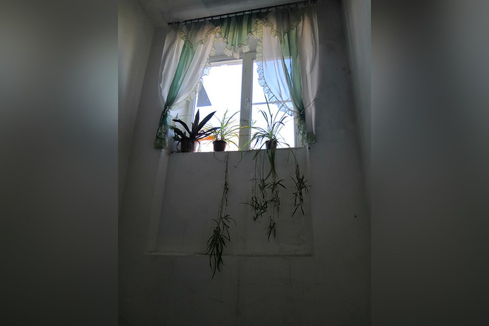 Вот так живут в красной зоне. Фото: Юлия АНДРИЕНКО