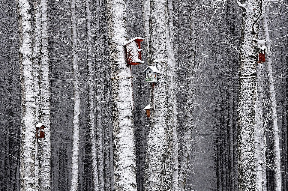 Фото: Сергей Ковяк