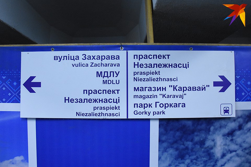 Почти игра - найди лишнее. Фото: Сергей ТРЕФИЛОВ