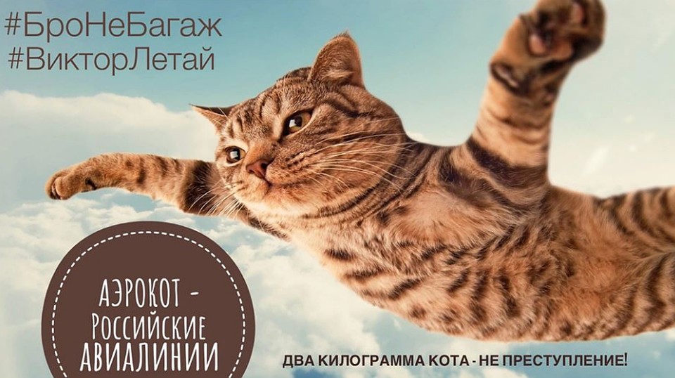 Бро - не багаж может стать самым популярным хэштегом этого месяца. Фото: Социальные сети
