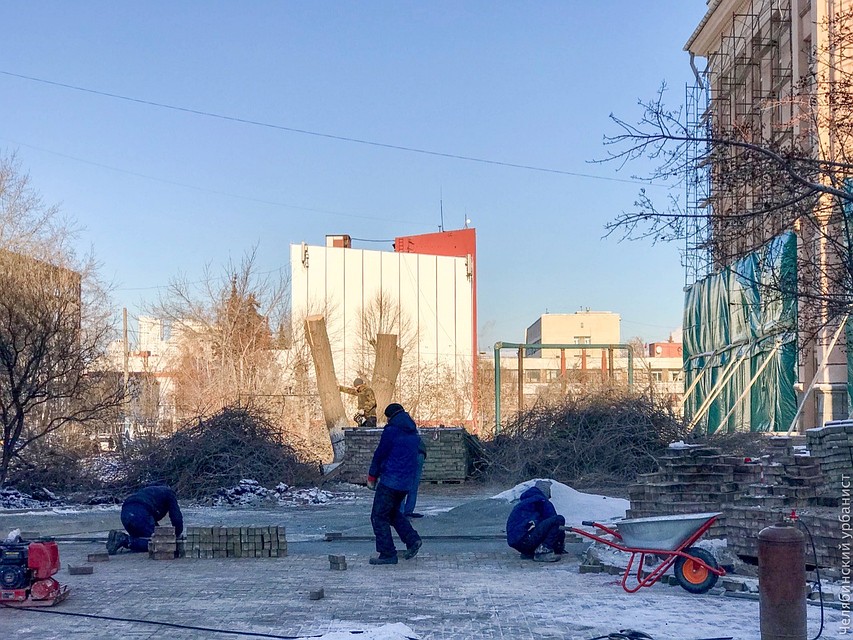 Дерево украшало скверик у библиотеки. Фото: Лев Владов.