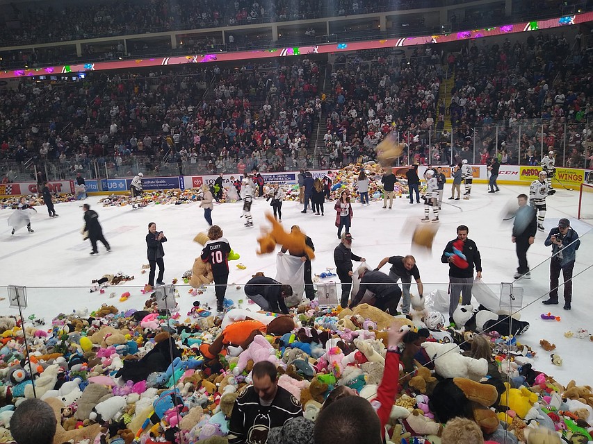 Болельщики побили свой собственный рекорд прошлого года. Фото: twitter.com/thehersheybears