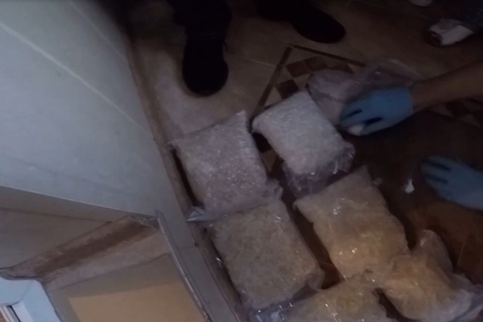 Всего у участников преступной группы было изъято 25 килограммов наркотиков. Фото: Пресс-служба МВД России