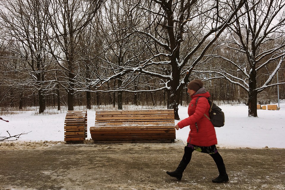 В рамках первой очереди в парке были установлены новые скамейки и урны. Фото: Анастасия НАЗАРОВА